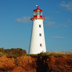 CardiganRiverRange240x240