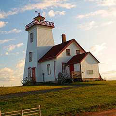 CardiganRiverRange240x240